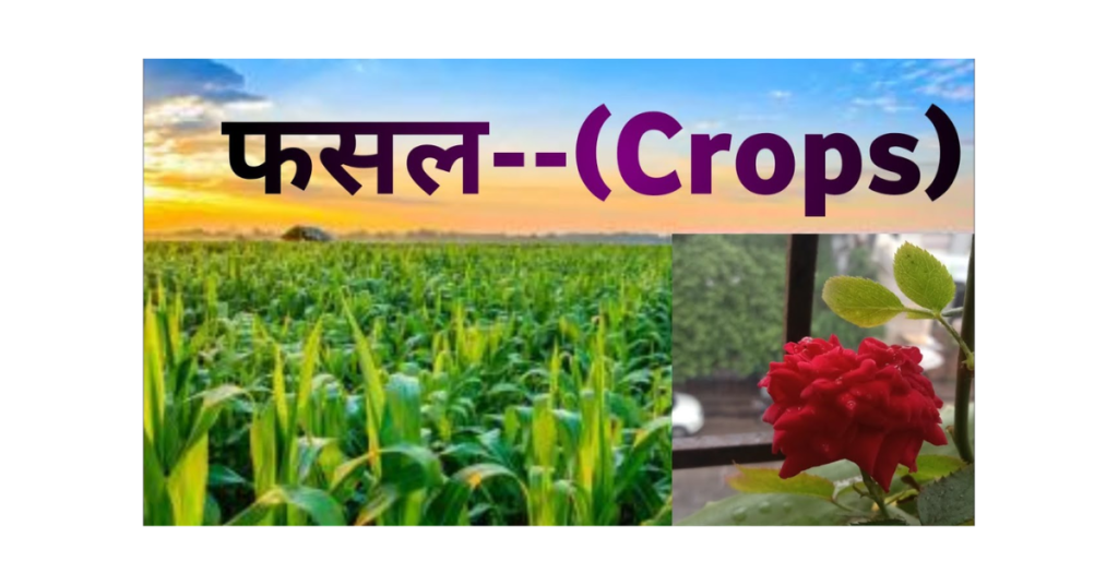 Fasal -Top 10 Agritech Startups in India