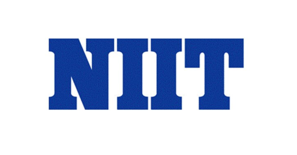 NIIT Digital Marketing  - Top 10 Digital Marketing Institutes in India