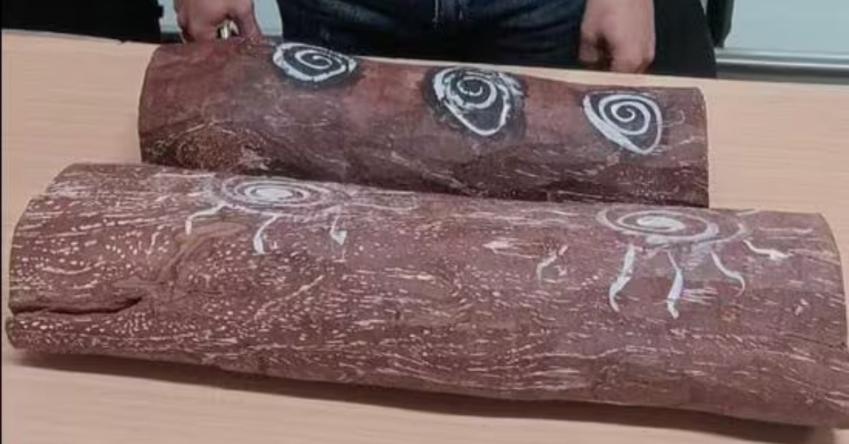 CISF nabs man at Delhi airport for trying to smuggle red sandalwood to Vietnam